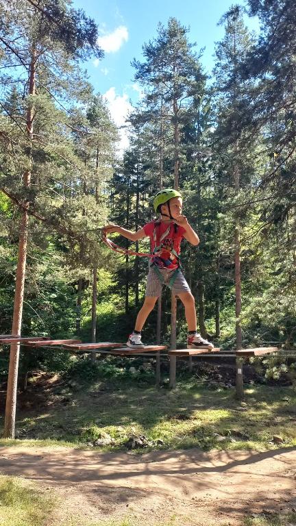 Gallery image of Apartman Popović - Vila Gorštak in Divčibare