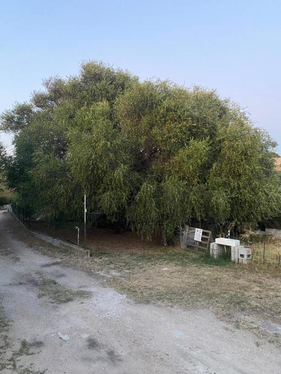 Příroda nedaleko prázdninového domu