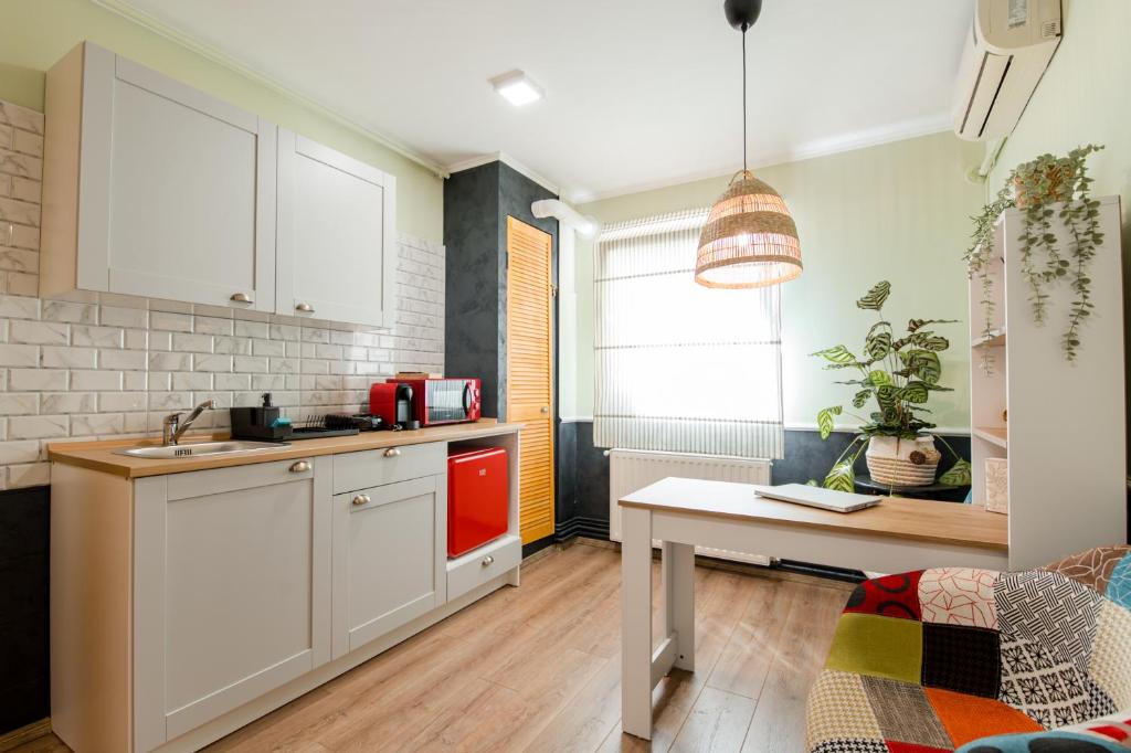 蒂米什瓦拉的住宿－NEW Iorga3 OldCity SelfCheckIn，厨房配有白色橱柜和桌子