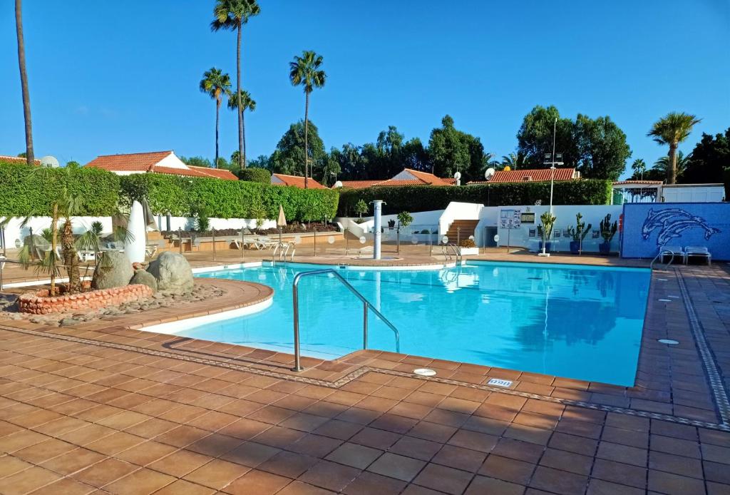 una gran piscina en un complejo con palmeras en Bungalow en el sur de Gran Canaria, en Las Palmas de Gran Canaria