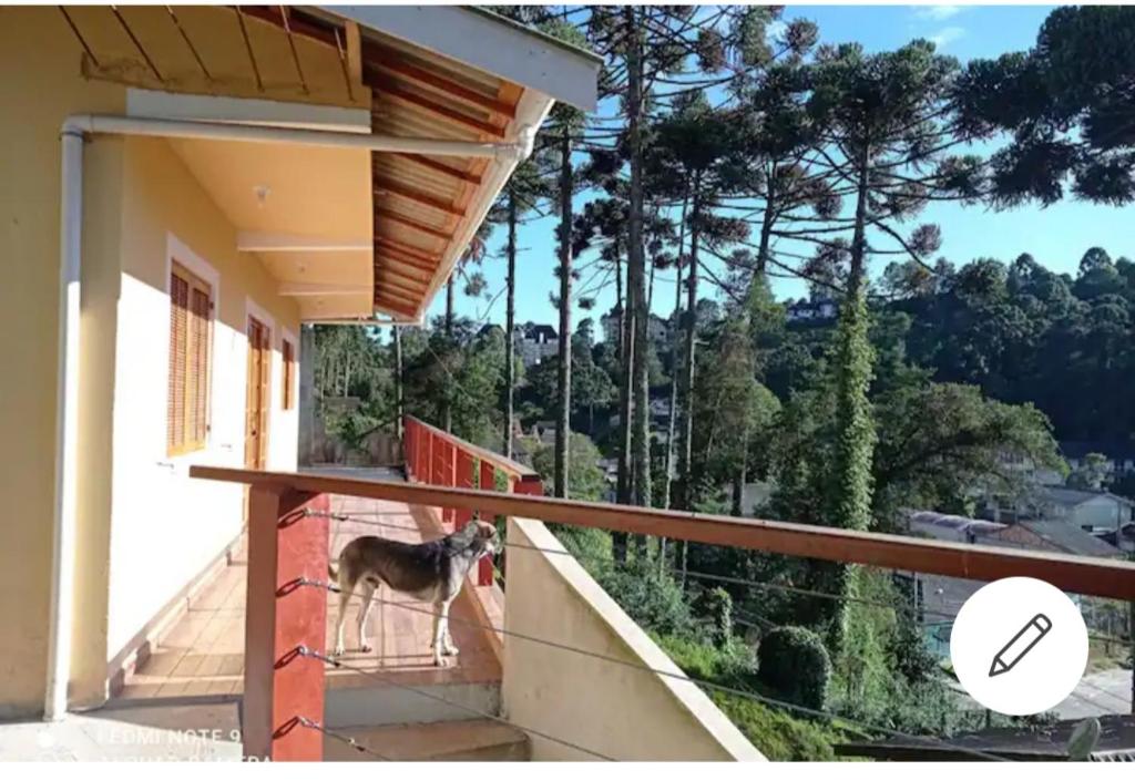 Cantinho Feliz a 900m do Capivari - Housity