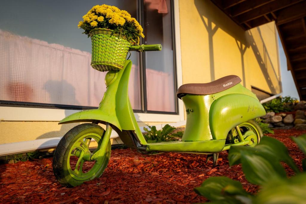 Fotografie z fotogalerie ubytování Villa di Casa - Boutique Hotel v destinaci Wellington