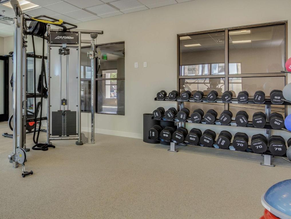 Fitness centrum a/nebo fitness zařízení v ubytování DoubleTree by Hilton Chandler Phoenix, AZ