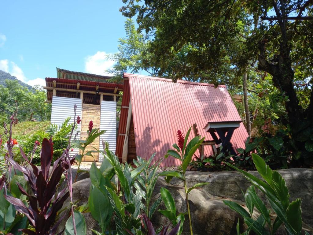 une maison avec un toit rouge dans un jardin dans l'établissement tukamping, à Minca