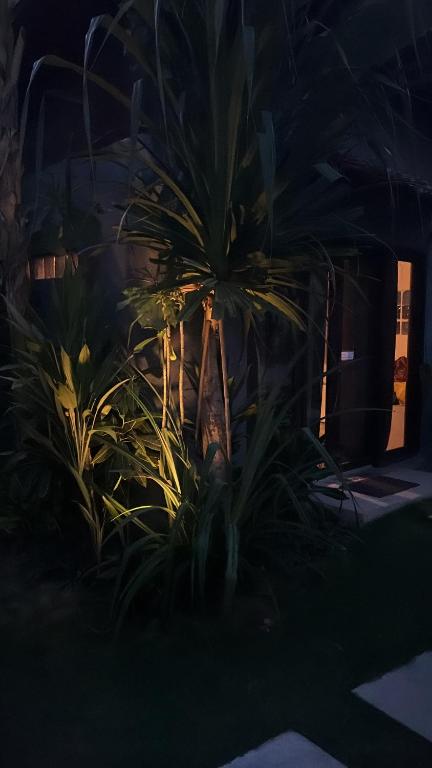 Zahrada ubytování Yay Lodge SIARGAO, private room 2 with AC & hot shower and fast Starlink Wifi