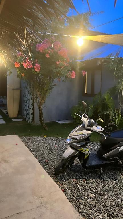 Zahrada ubytování Yay Lodge SIARGAO, private room 2 with AC & hot shower and fast Starlink Wifi