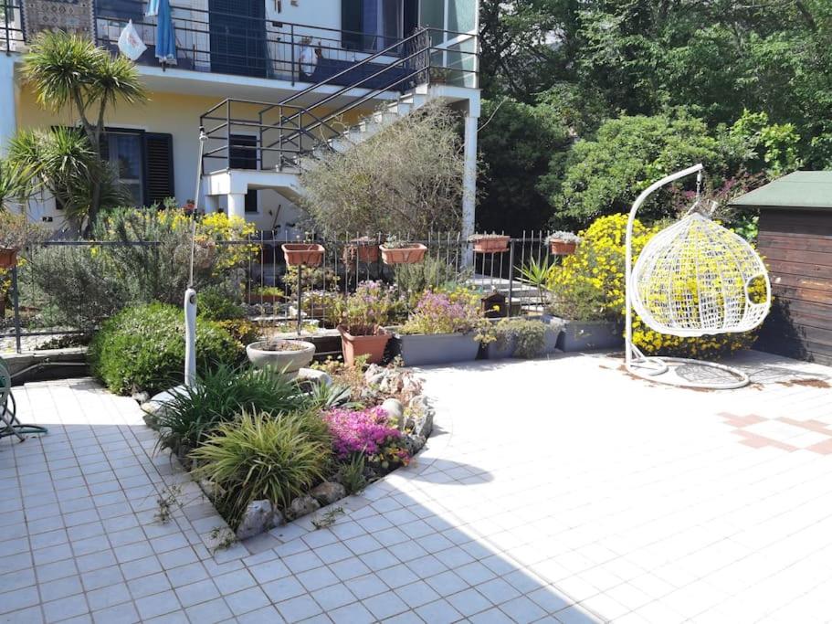 a garden with a bunch of plants and flowers at La piccola oasi tra sole e mare in Ceriale