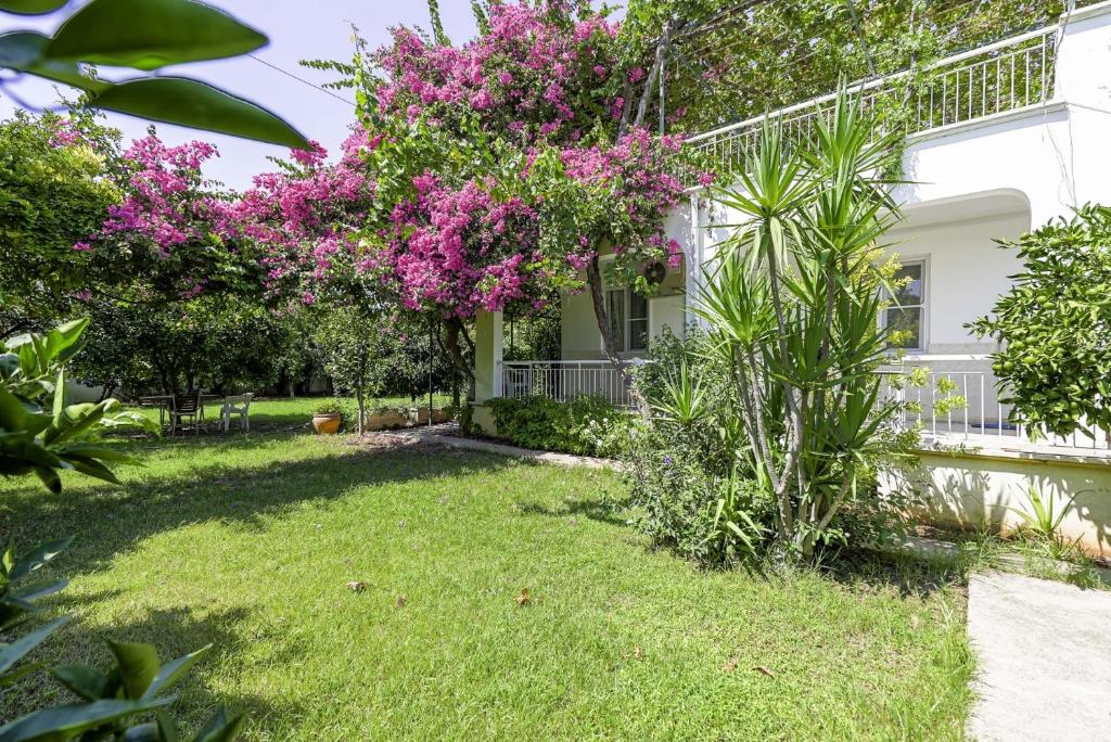 un jardín frente a una casa con flores rosas en Vacation Oasis in Antalya 5 min to Lara Beach, en Antalya