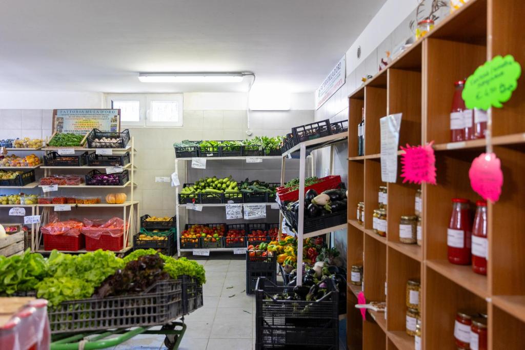 Supermarket nebo jiné obchody v  apartmánu nebo okolí