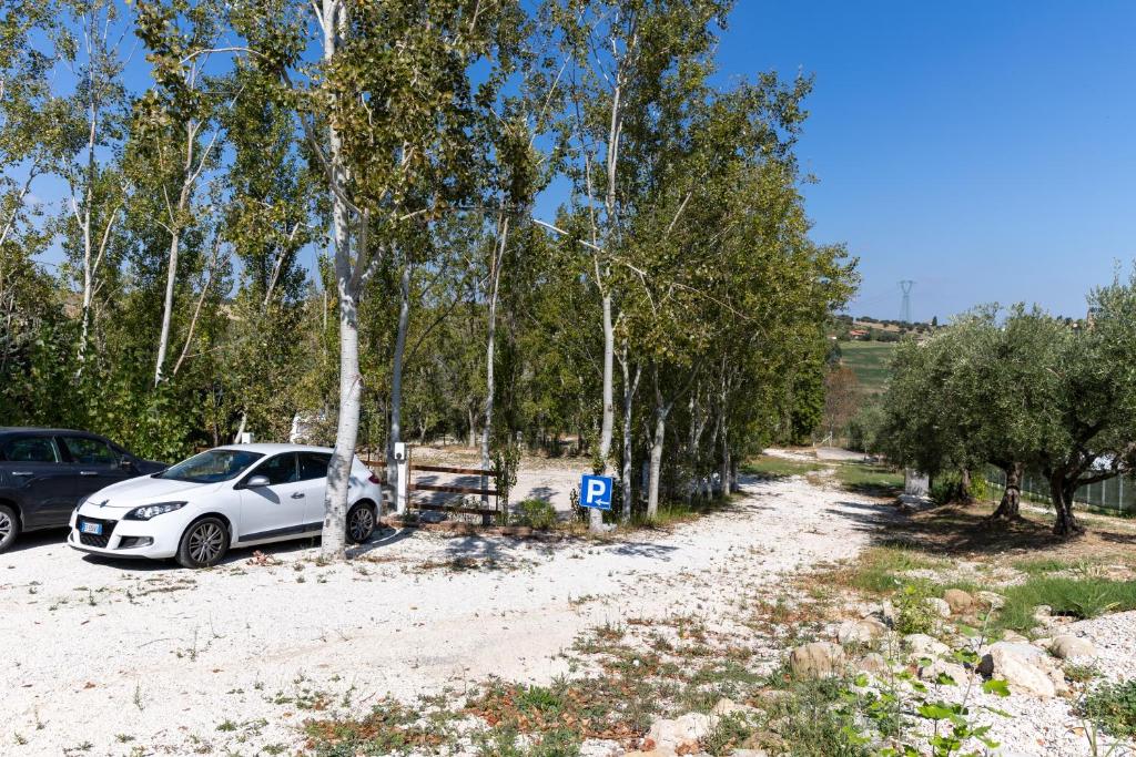 Příroda nedaleko apartmánu