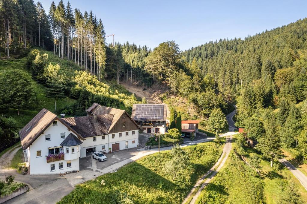 Příroda nedaleko apartmánu