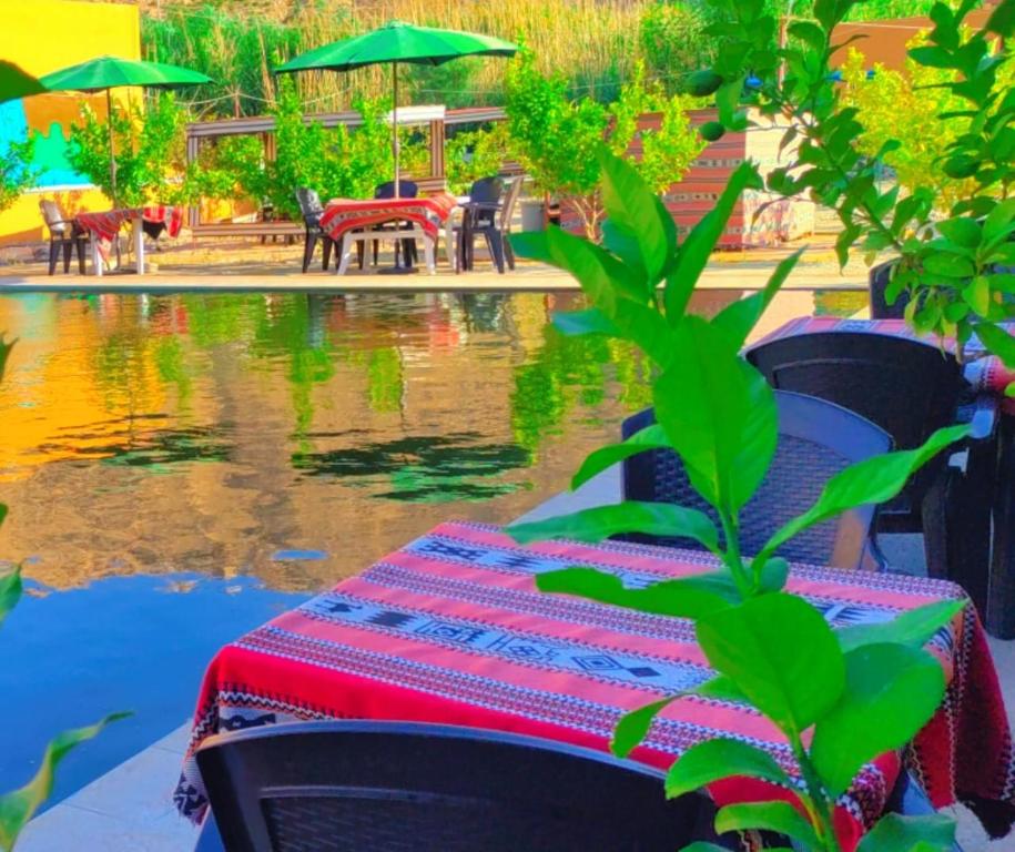 Výhled na řeku, která protéká v blízkosti hotelu