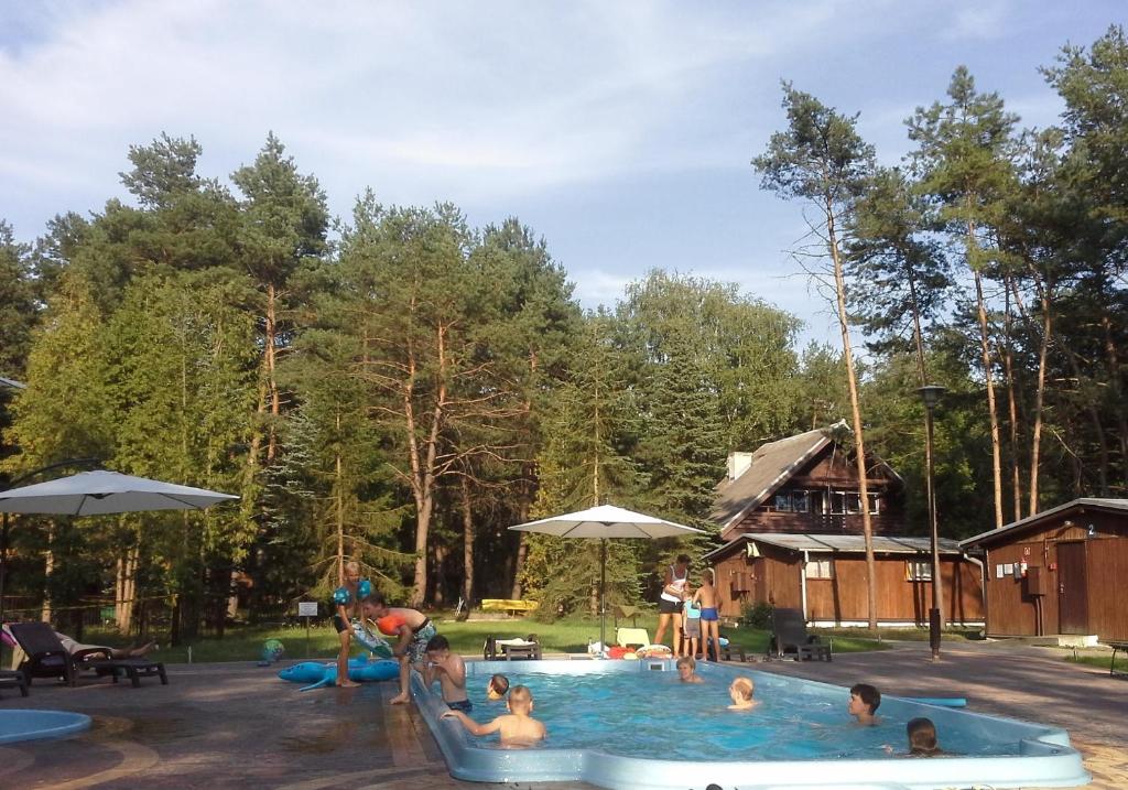 a group of people playing in a swimming pool at Ośrodek Świt Wilga in Wilga
