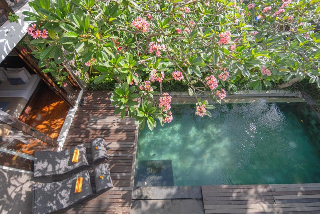 an overhead view of a swimming pool with flowers at Canggu Circle Villa by Ini Vie Hospitality in Canggu