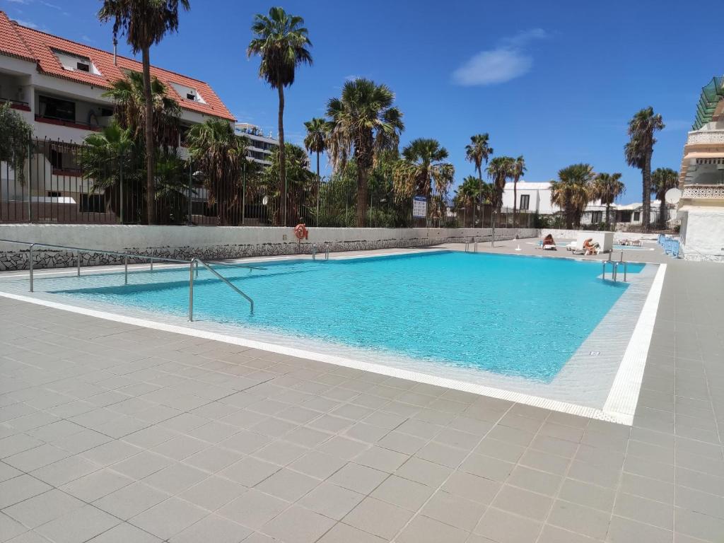 a large swimming pool in a building with palm trees at Apartamento Tenerife Sur in Playa de las Americas