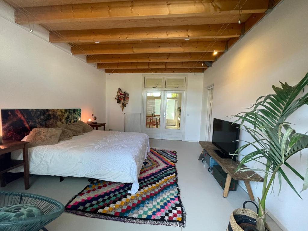 a bedroom with a bed and a tv and a rug at Studio Bliss in Oud-Gastel