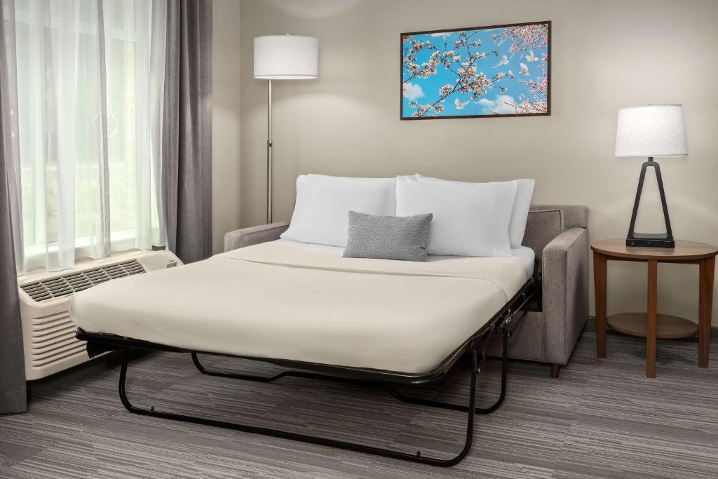 Homewood Suites By Hilton Greenville, NC - King Suite With Bath Tub - Mobility Access