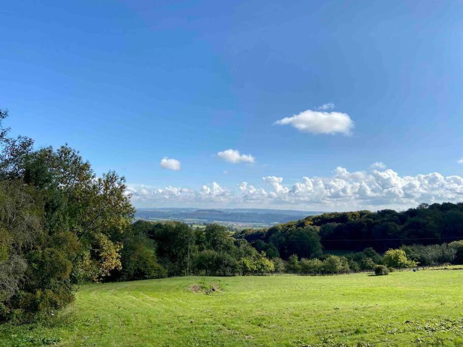 a green field with trees in the distance at The Mill Stylish Rural Apartment with Beautiful Views in Welsh Newton Common