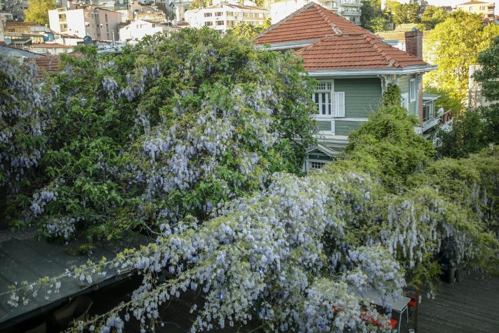 رزرو هتل و هاستل، Loop Hotel Bosphorus İstanbul, 09197245267