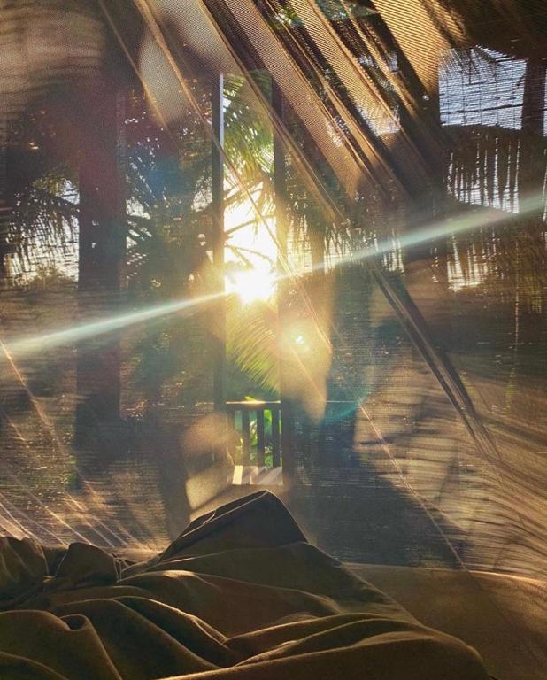 KAJU GREEN eco lodges - 19