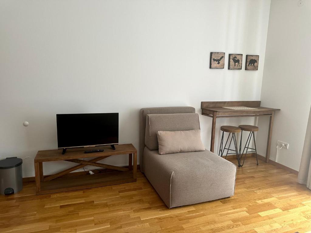 TV a/nebo společenská místnost v ubytování 4R Apartman 250m from Gondola