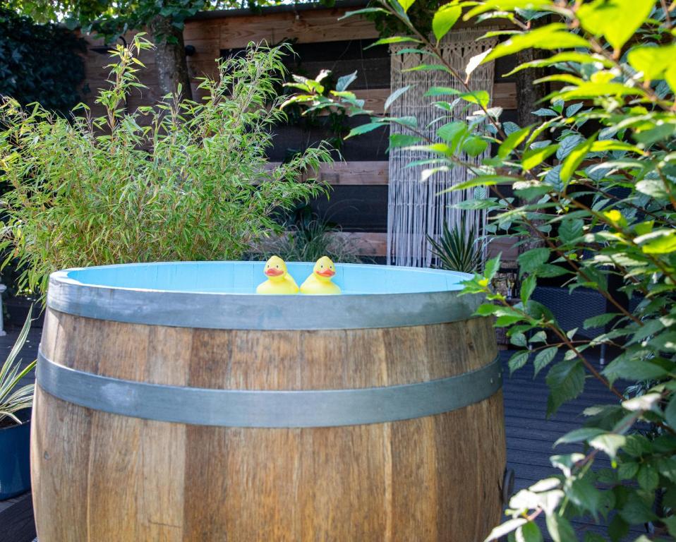Fotografie z fotogalerie ubytování B&B Joli met privé wellness v destinaci Wemeldinge