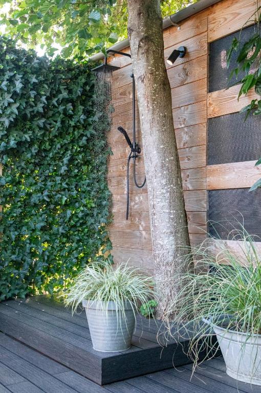 Zahrada ubytování B&B Joli met privé wellness