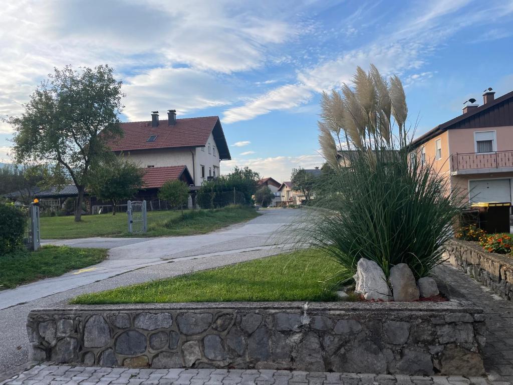 Zahrada ubytování Apartma Šohen