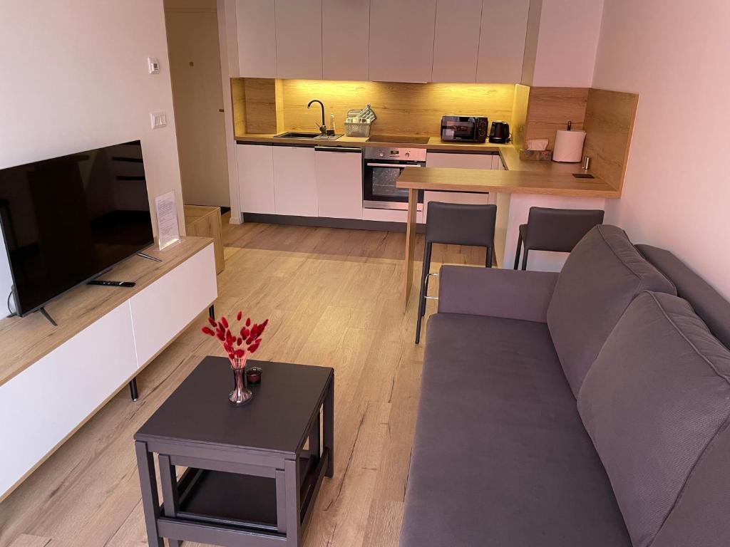 a living room with a couch and a kitchen at Apartmán Gréner in Svit