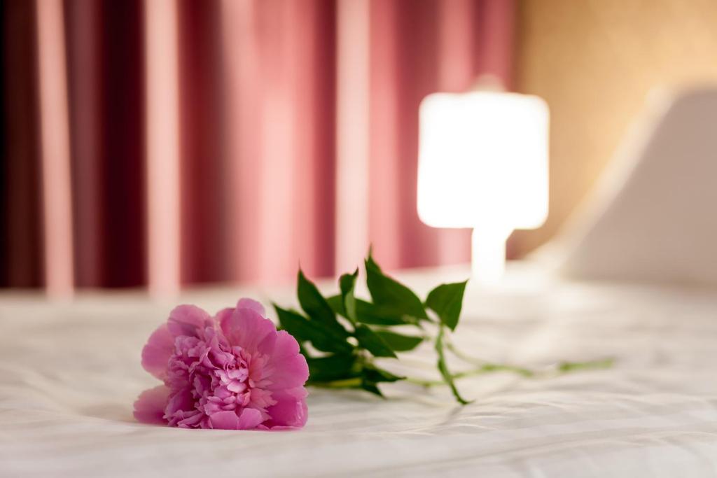 Tomis Garden Apartments Mamaia - Resim 33