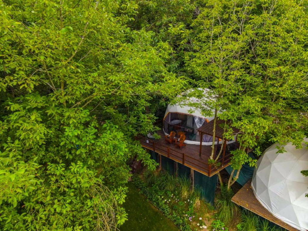 an overhead view of a boat in the trees at ME-GA Glamping in Sapanca
