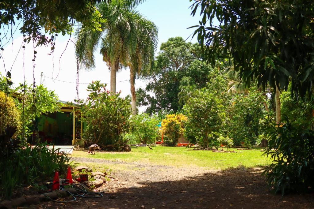 a yard with palm trees and a house at La Casa de Vida Natural in Rio Grande