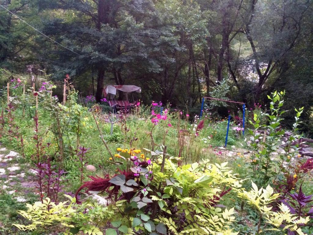 a garden with a bunch of flowers and trees at Lola in Ambrolauri