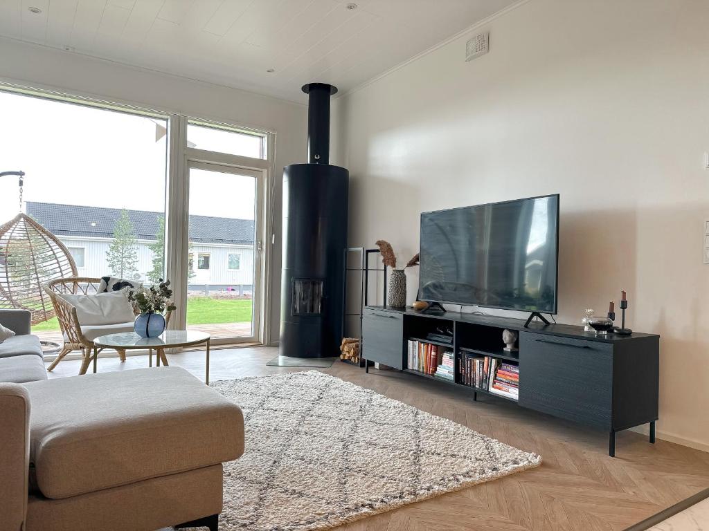 TV a/nebo společenská místnost v ubytování Snow Heaven Suites