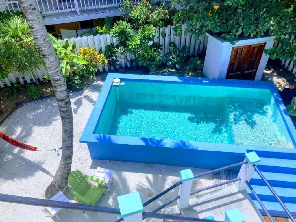 einen Pool mit einer Palme im Hinterhof in der Unterkunft Casa Coccoloba in San Pedro