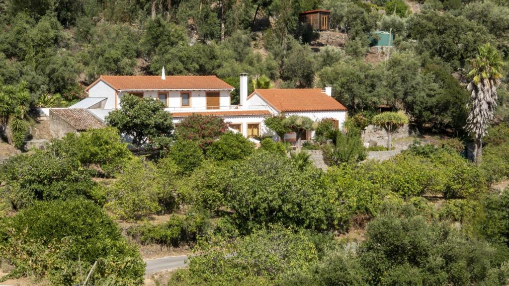 uma casa numa colina com árvores e uma estrada em 636 Vivenda Bouganvilla em Monchique