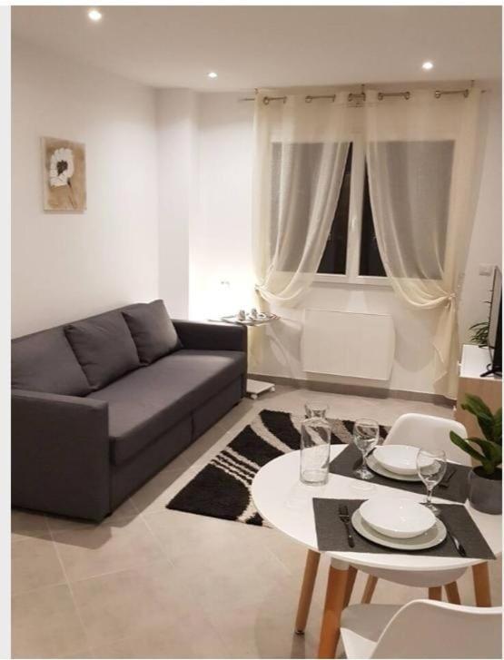un salon avec un canapé et une table dans l'établissement STUDIOS NEUFS ET AGRÉABLES, à Bonneuil-sur-Marne