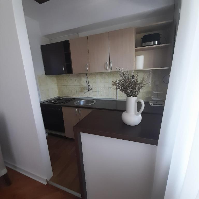 Kuchyň nebo kuchyňský kout v ubytování Apartman Mika **Centar **