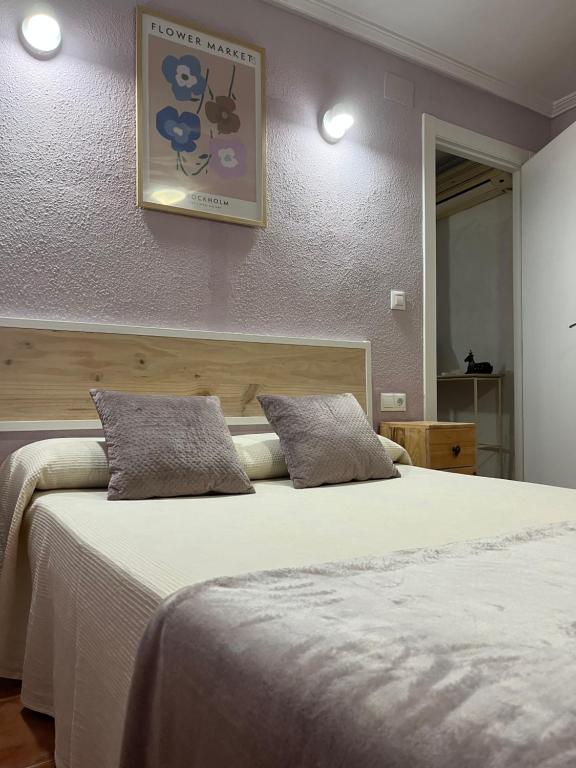 1 dormitorio con 1 cama grande y 2 almohadas en Casa Rural CANTONAL, en Valencia