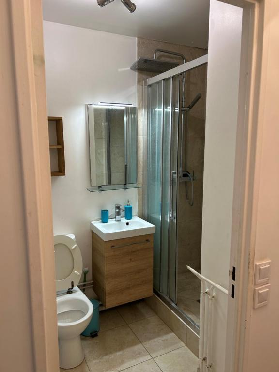 La salle de bains est pourvue d'une douche, de toilettes et d'un lavabo. dans l'établissement Appartement Créteil proche Métro, à Créteil