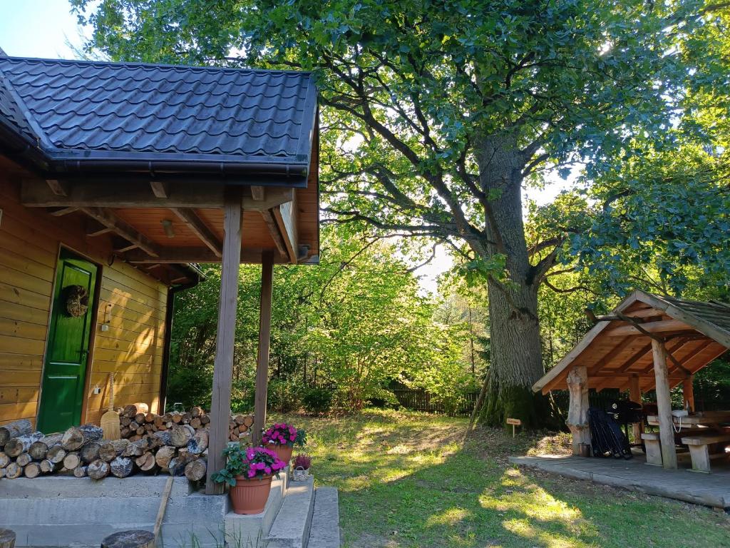 a house with a tree in the yard at Dębowe Królestwo Leśniczówka w Puszczy na wyłączność in Policzna