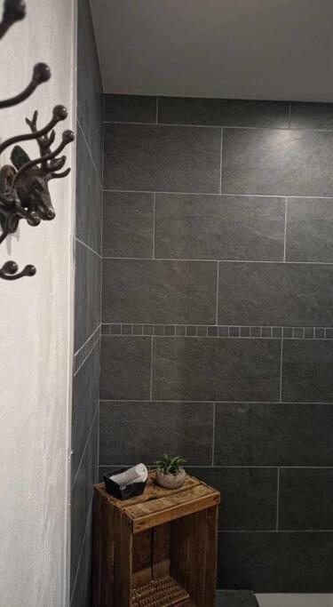 a bathroom with a tiled shower with a plant on a table at LE MAZOT-SPA HIVER ET ETE-Piscine-Proche lac-Charme-Détente in Lathuile