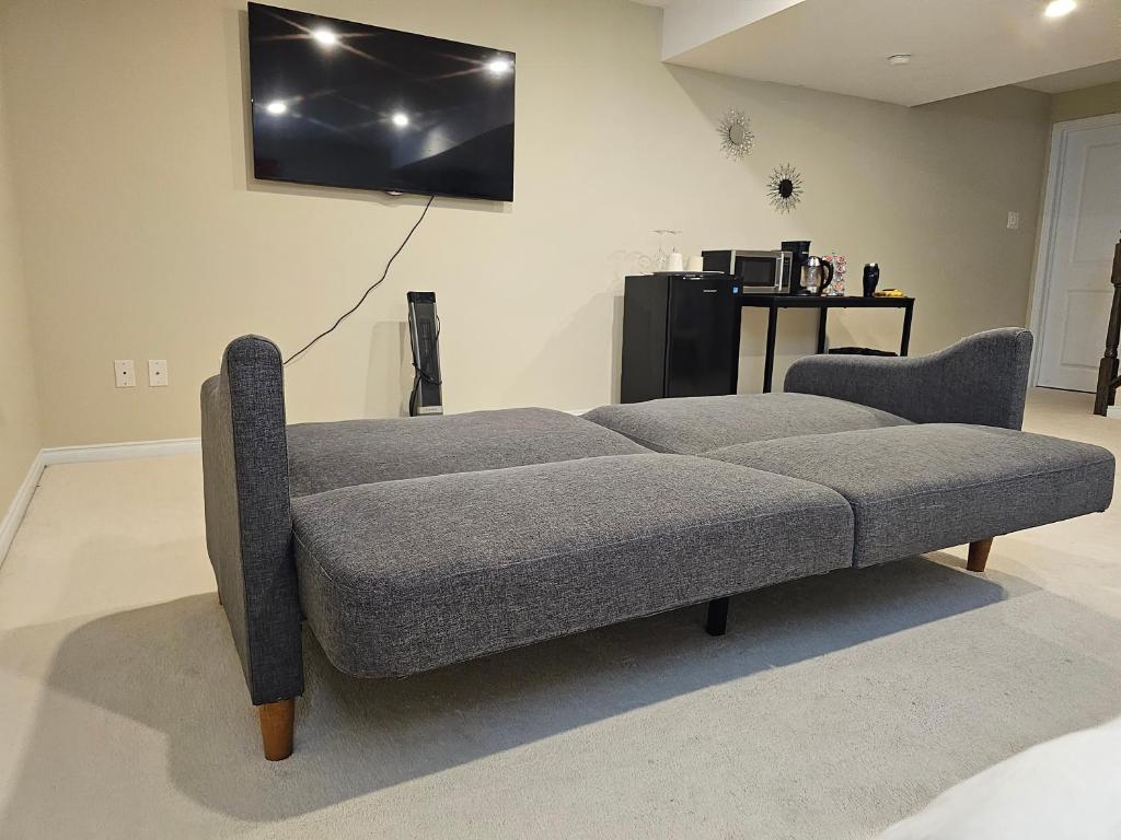 Televiisor ja/või meelelahutuskeskus majutusasutuses Mannys place