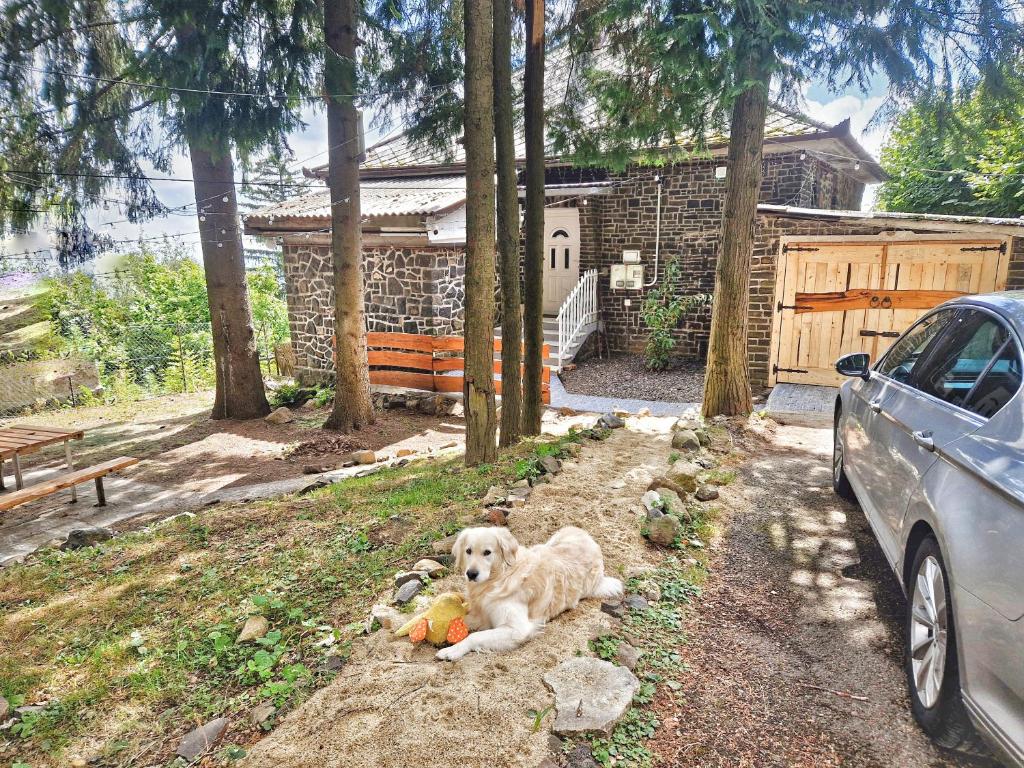 Mountain Home - Galyatető 3234 Galyatető, 13 Turista út kép - 1