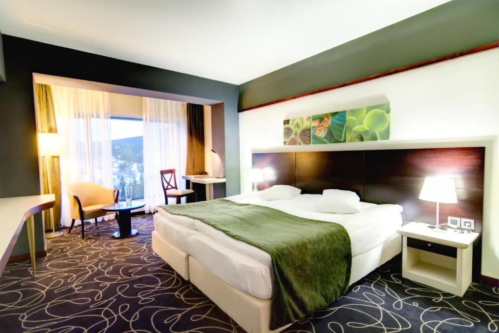 Hotel Orizont - 带有全景的标准房间