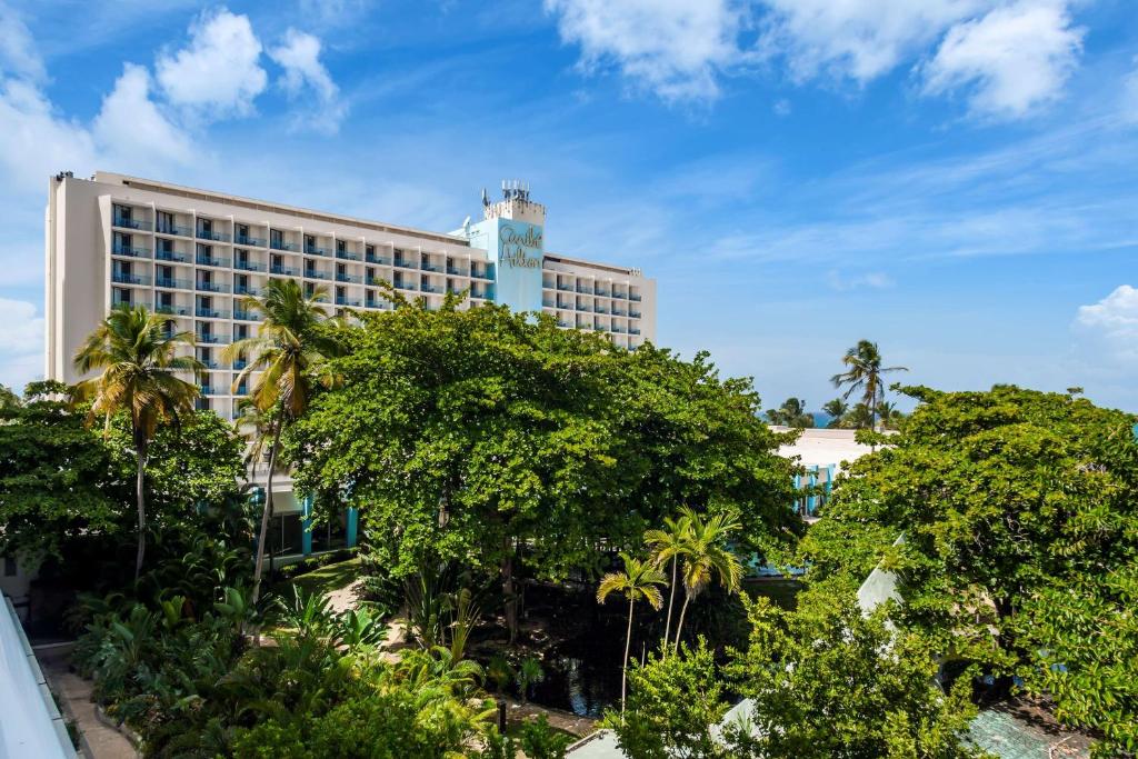 Zahrada ubytování Caribe Hilton