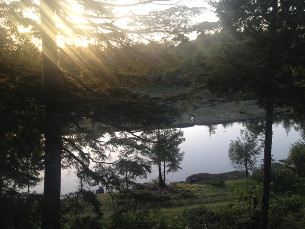 een uitzicht op een meer met bomen op de voorgrond bij Hyphocus Inn in Ucluelet
