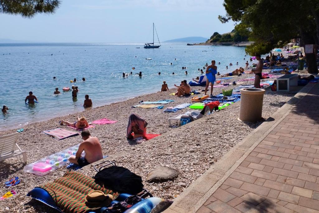 Príroda v okolí apartmánu