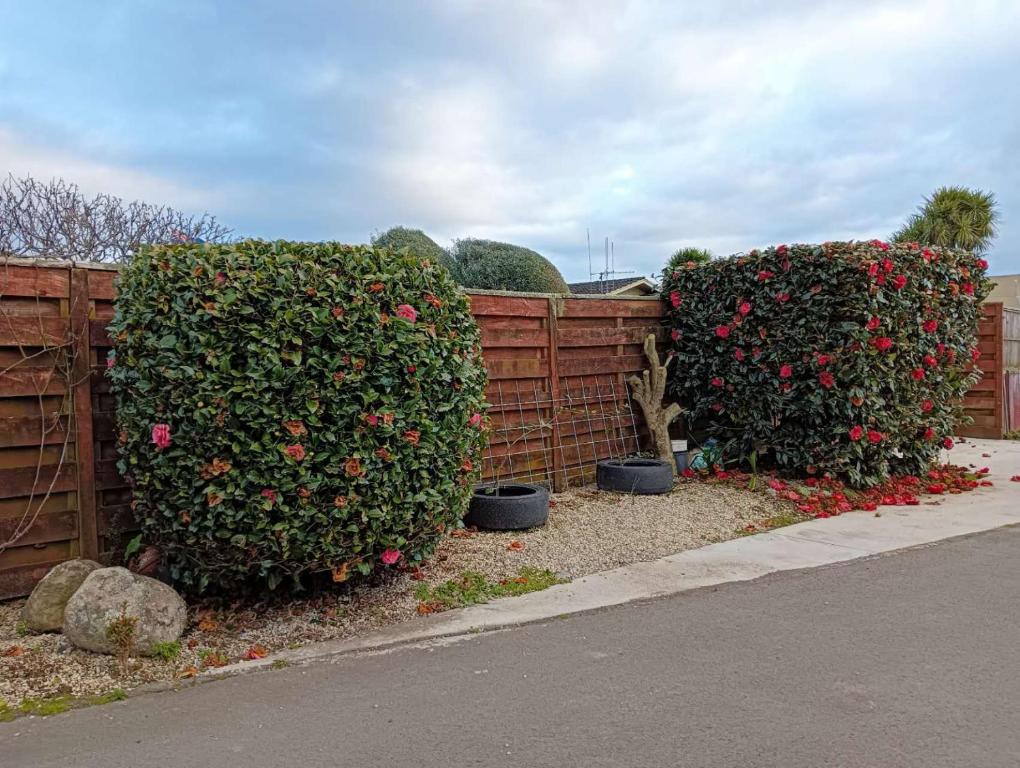 Sweet Home between CBD and University - Resim 24