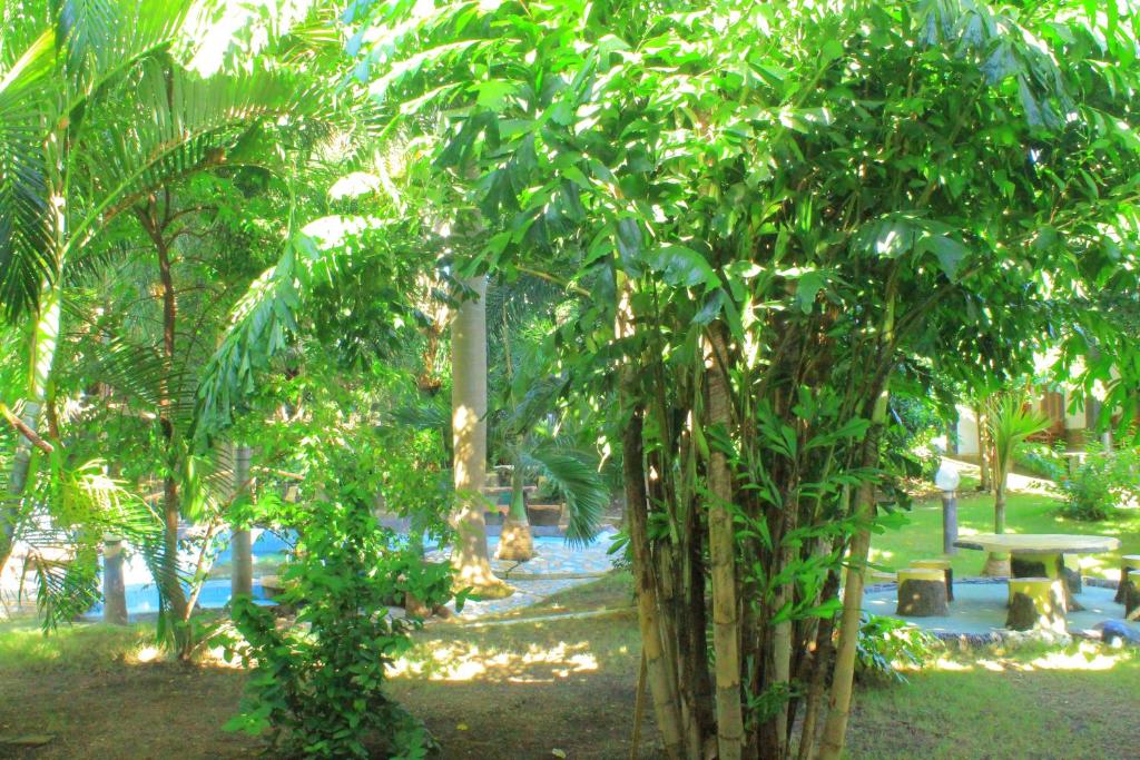 a park with trees and a picnic table in it at Hotel Green Prundi in Labuan Bajo